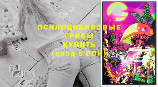 трава Гусиноозёрск