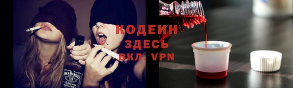 индика Верея