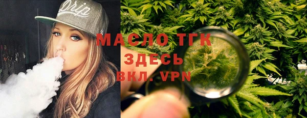 сатива Гусь-Хрустальный