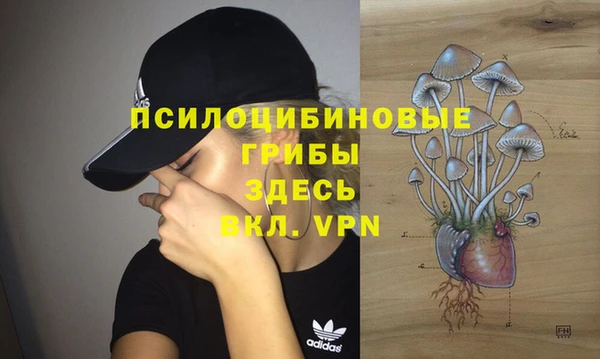 прущая мука Бородино